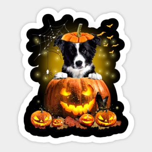 Border Collie Spooky Halloween Pumpkin Dog Head Sticker